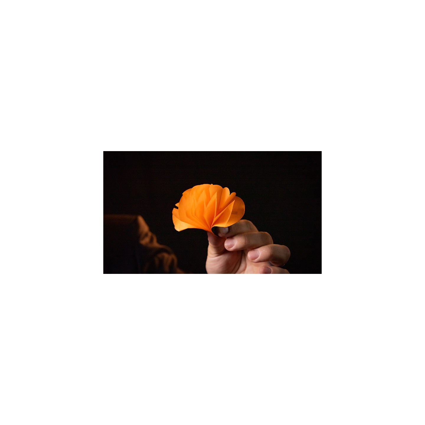 SPRING FLOWERS (2 PK PAPER) by Murphy's Magic