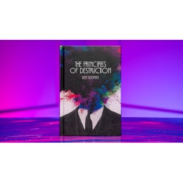 Principles of Destruction by Ben Seidman