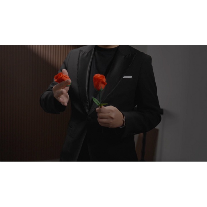 Eternal Rose by Bond Lee