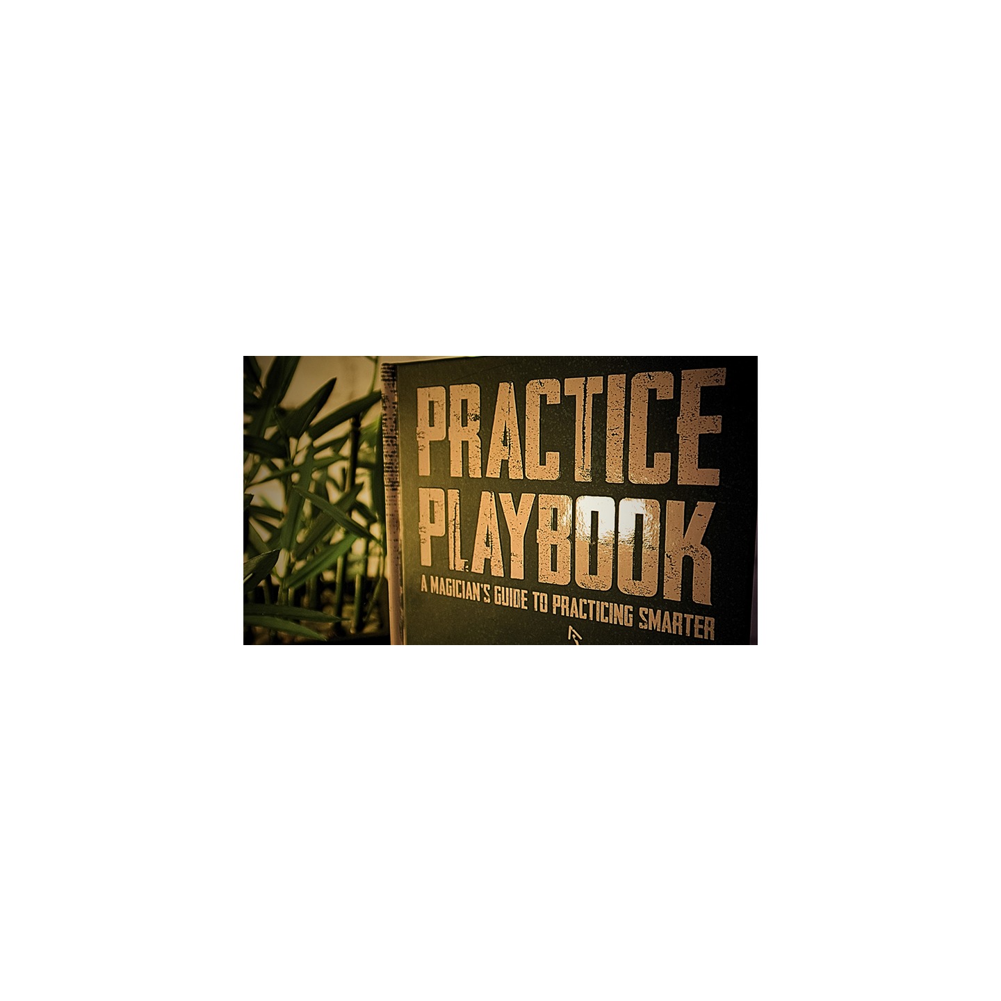 The Practice Playbook by Eric Yuhasz