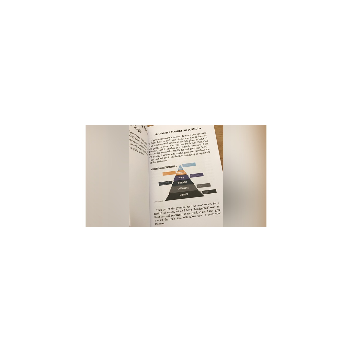 Performer Marketing Formula by Luca Volpe - Book