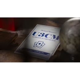 Michael Skinner's Ultimate Bicycle Jumbo 3 Card Monte (Blue) by Murphy's Magic