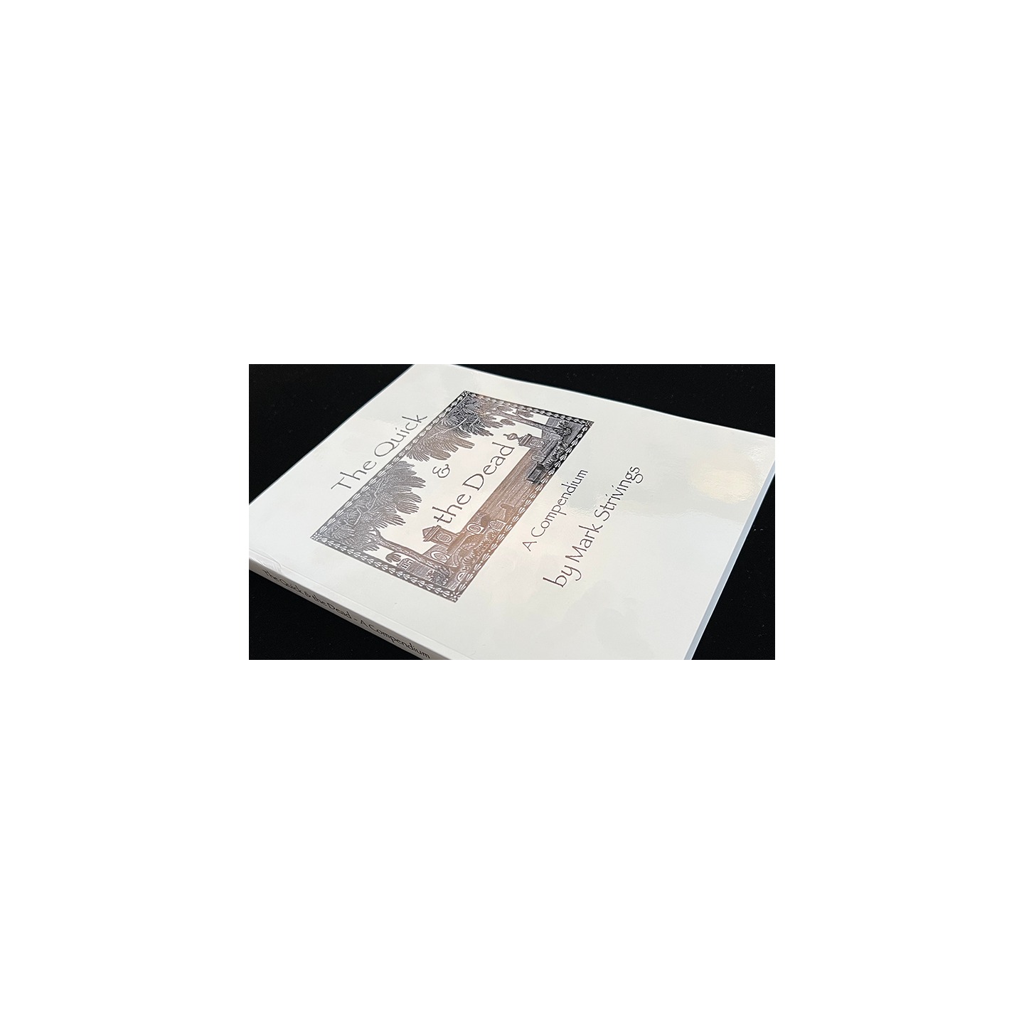 The Quick and the Dead by Mark Strivings - Book