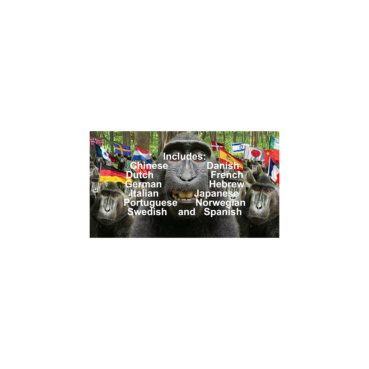 100th Monkey Multi-Language by Chris Philpott