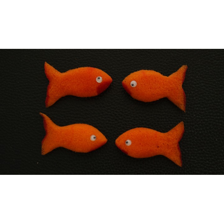 Sponge Emoji GOLDFISH (4PK.) by Andy Amyx