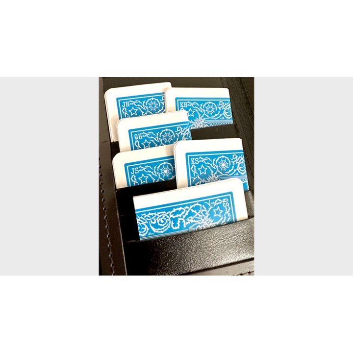 Mis-Indexed Court Cards (LIGHT) - Pack of 12 by Steve Dela