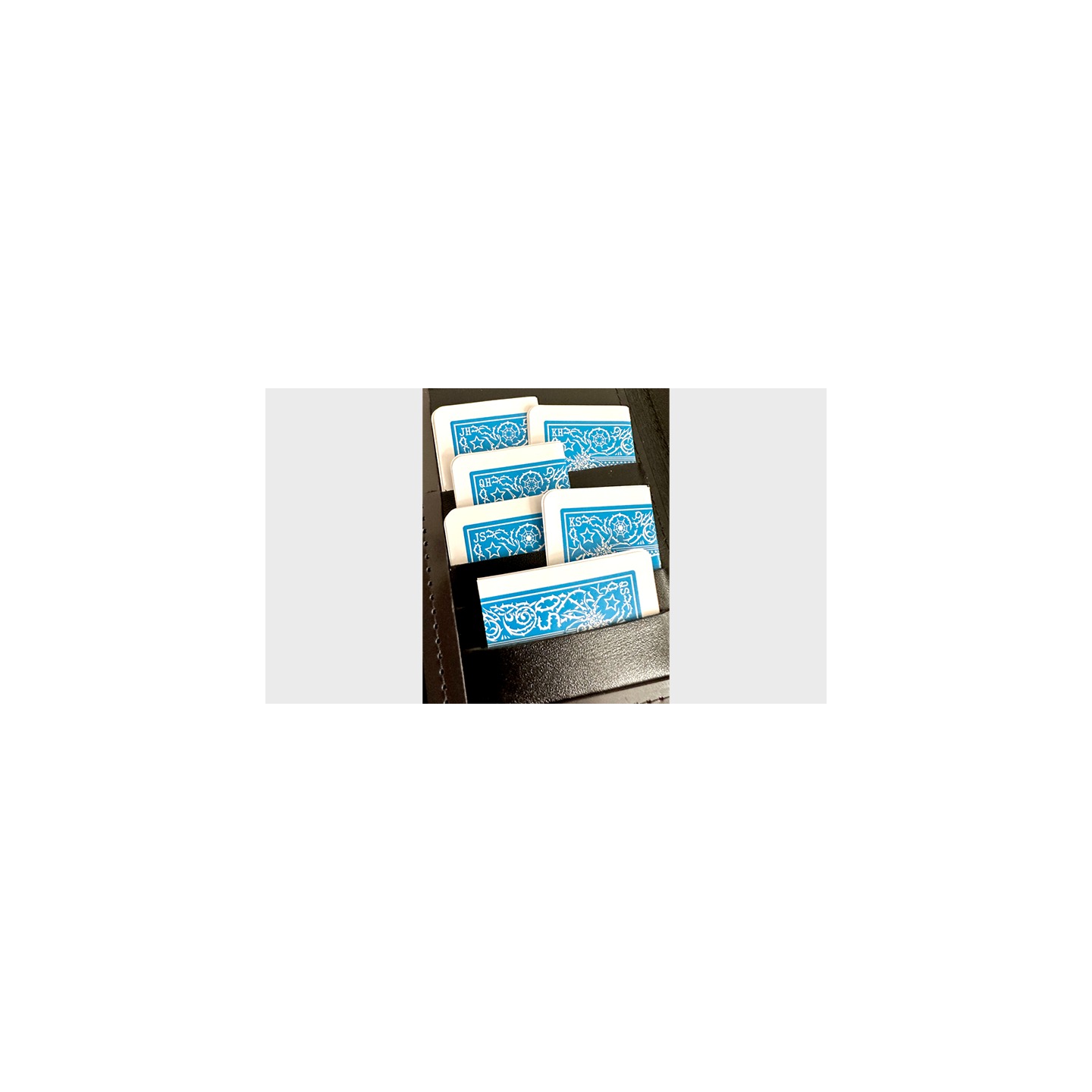 Mis-Indexed Court Cards (LIGHT) - Pack of 12 by Steve Dela