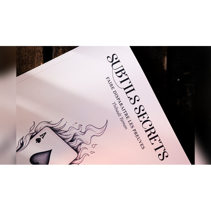 Subtle Secrets 1 by Thibault Ternon