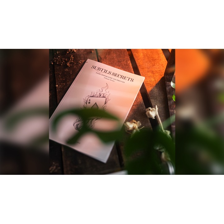 Subtle Secrets 1 by Thibault Ternon