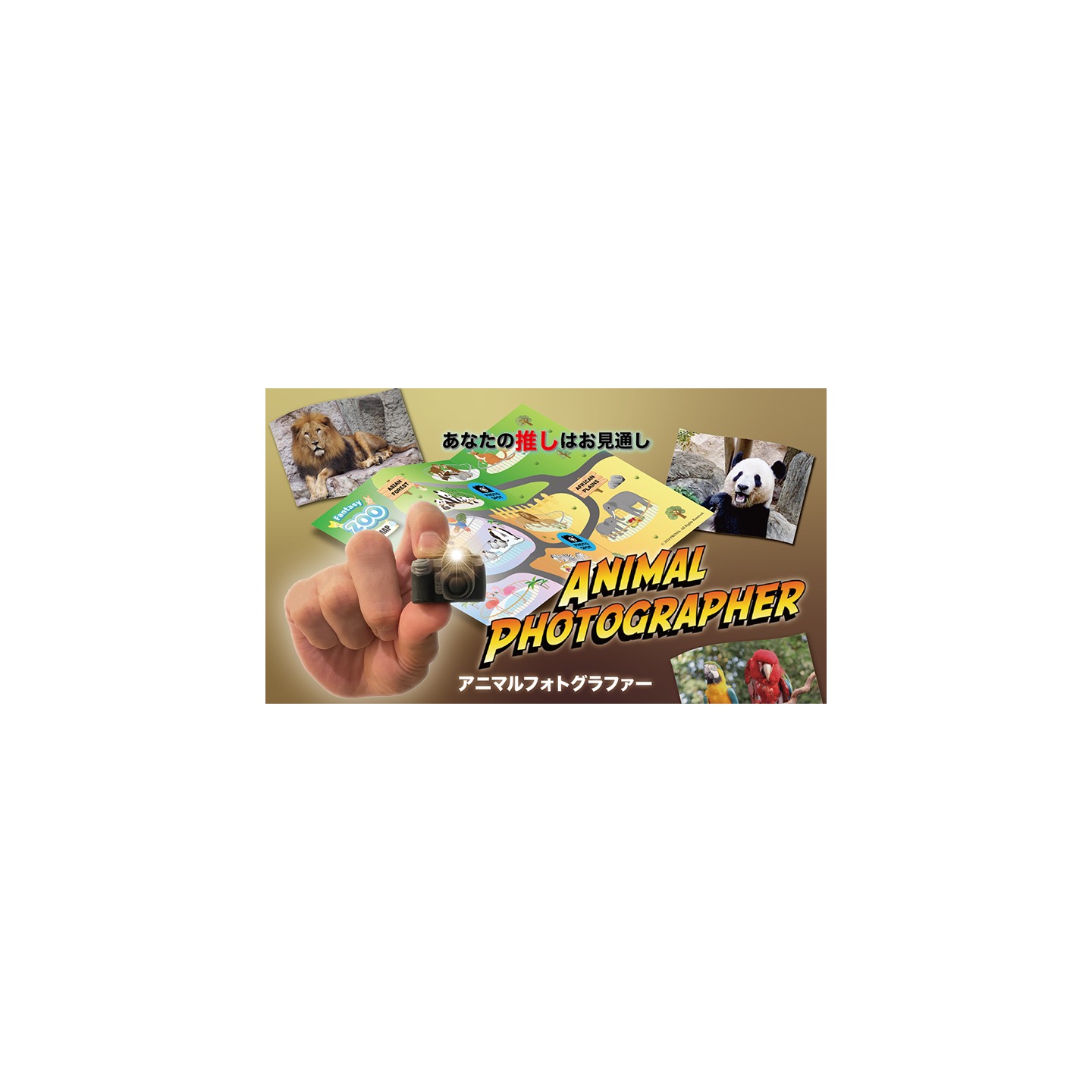 Animal photographer