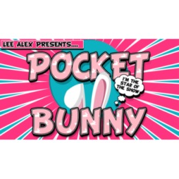 Pocket Bunny by Lee Alex