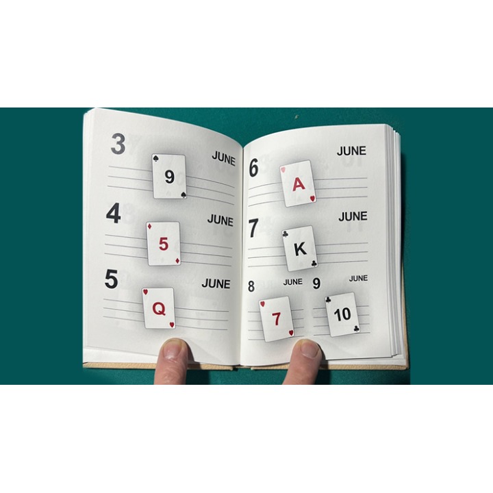 LS Diary by Leo Smetsers