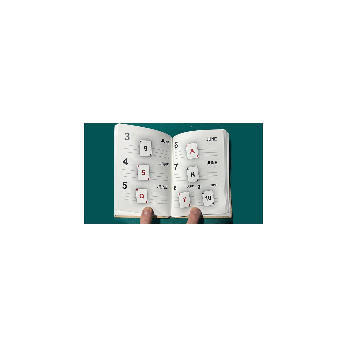 LS Diary by Leo Smetsers