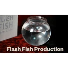 Flash Fish Production by LT Magic