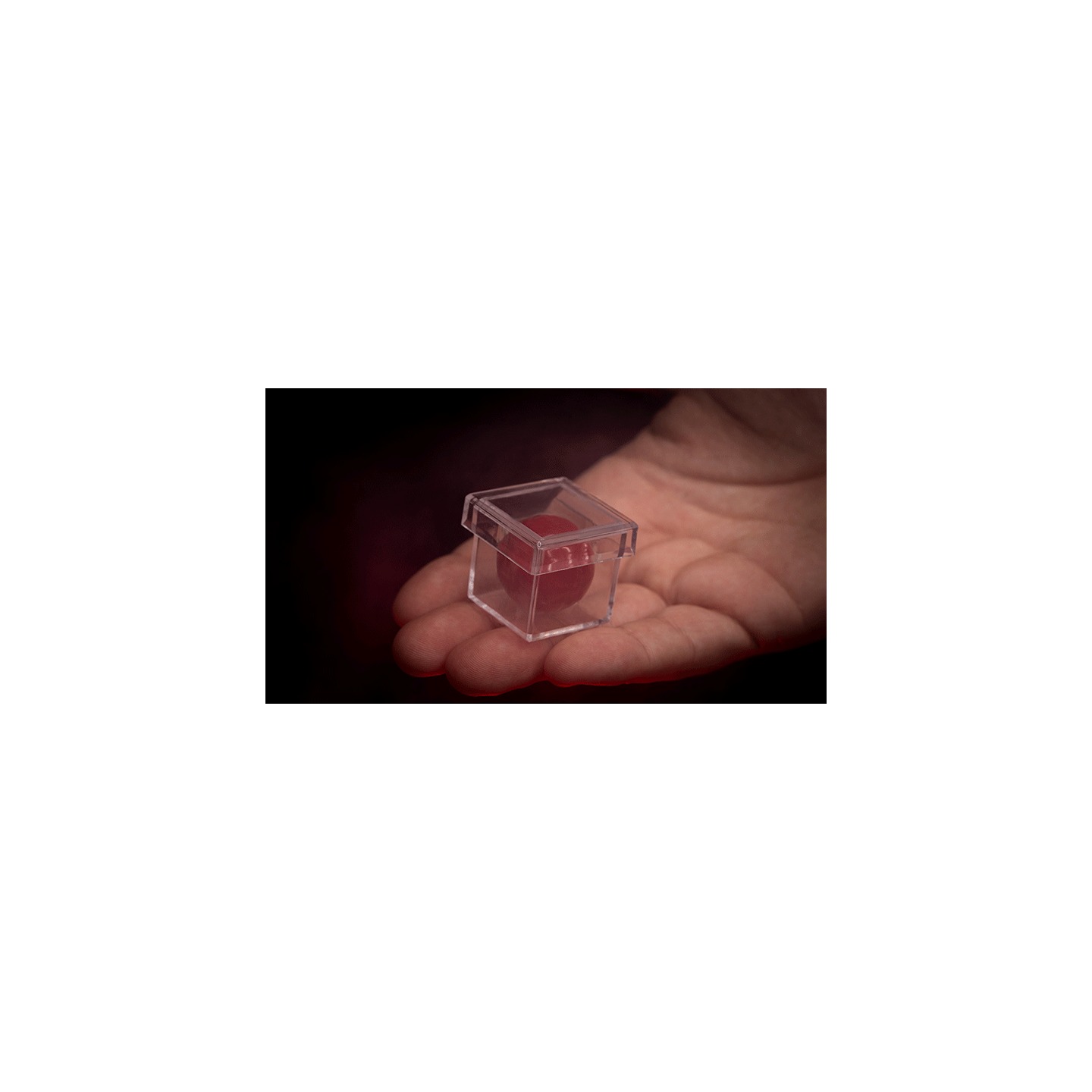 MAGIC CHAMBER (Gimmicks and Instructions) by Apprentice Magic
