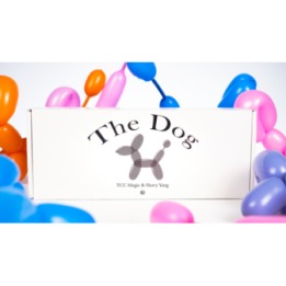 The Dog by TCC Magic & Harry Yang