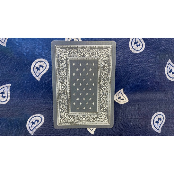 Gilded Bicycle Bandana (Blue) Playing Cards
