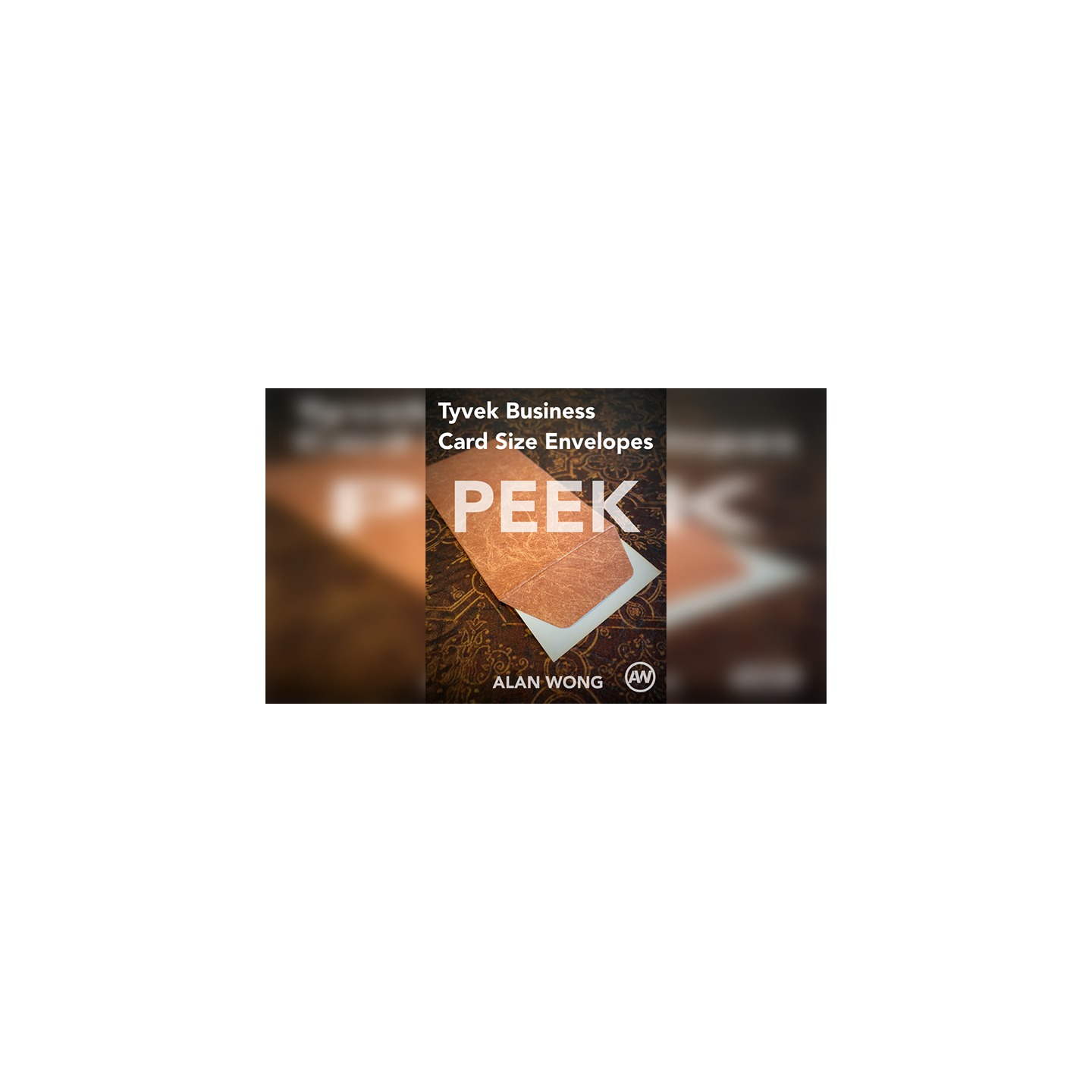 Tyvek Business Card Size Peek Envelopes (10 pk.) by Alan Wong