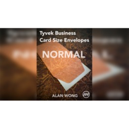 Tyvek Business Card Size Envelopes (10 pk.) by Alan Wong