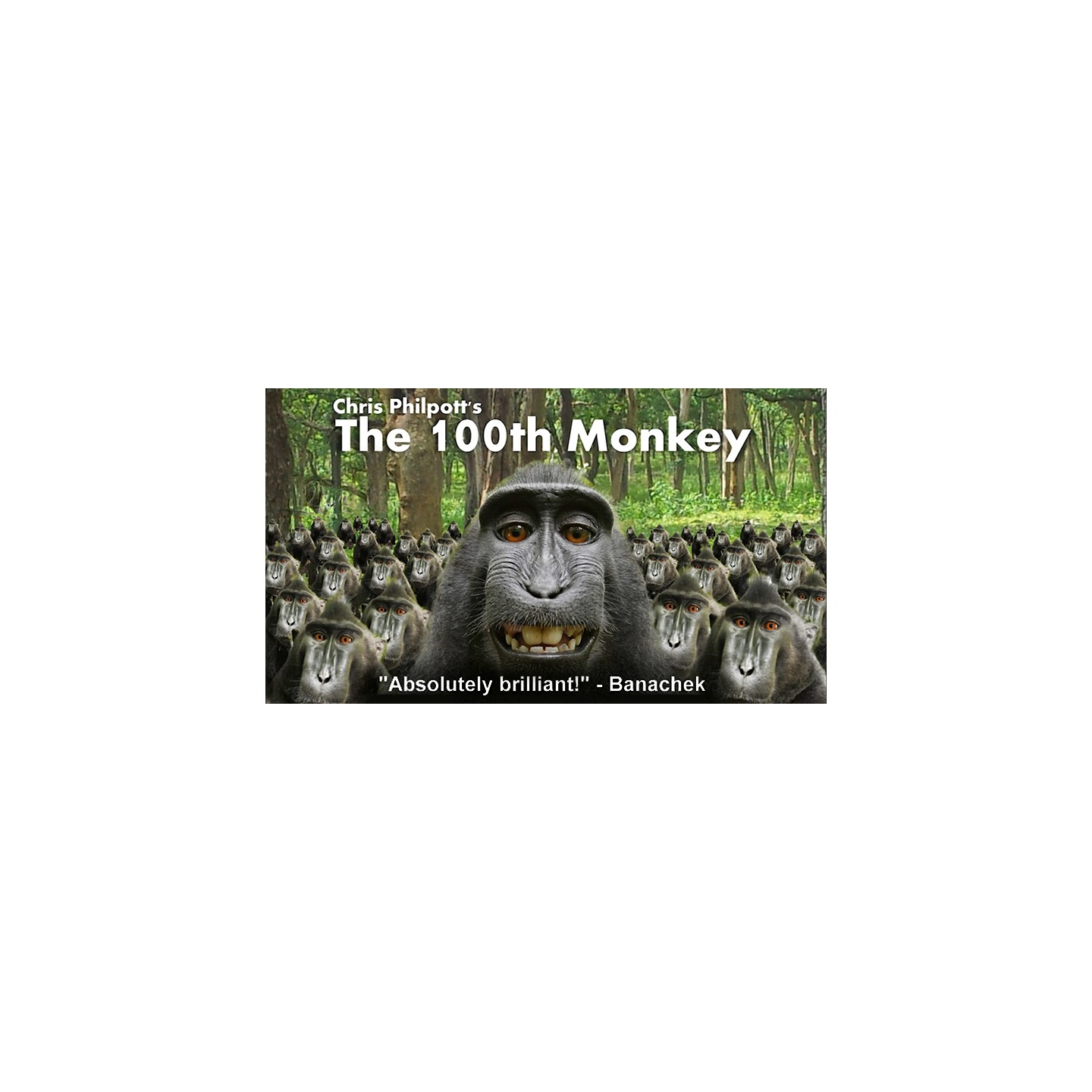 100th Monkey Multi-Language by Chris Philpott