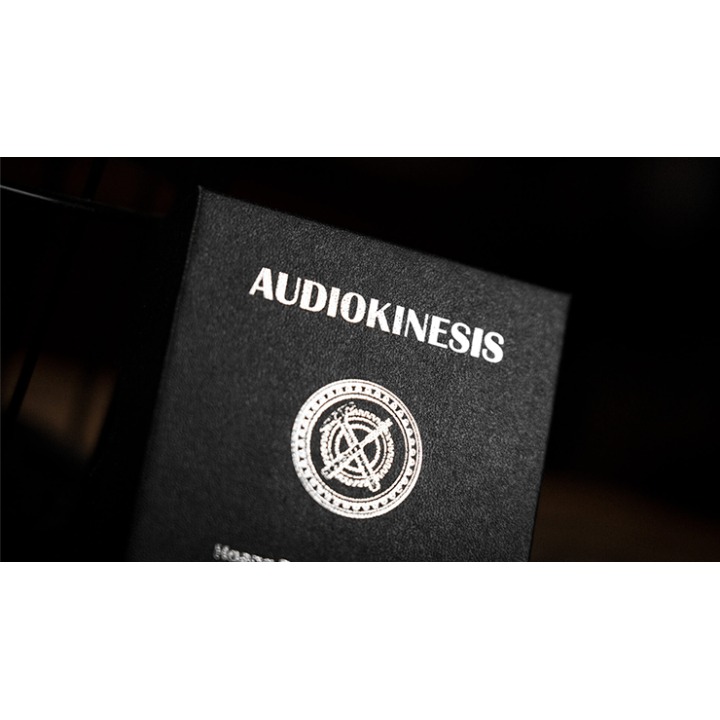 Audiokinesis by Hoang Doan Minh & Artisan Coin (Dollar)
