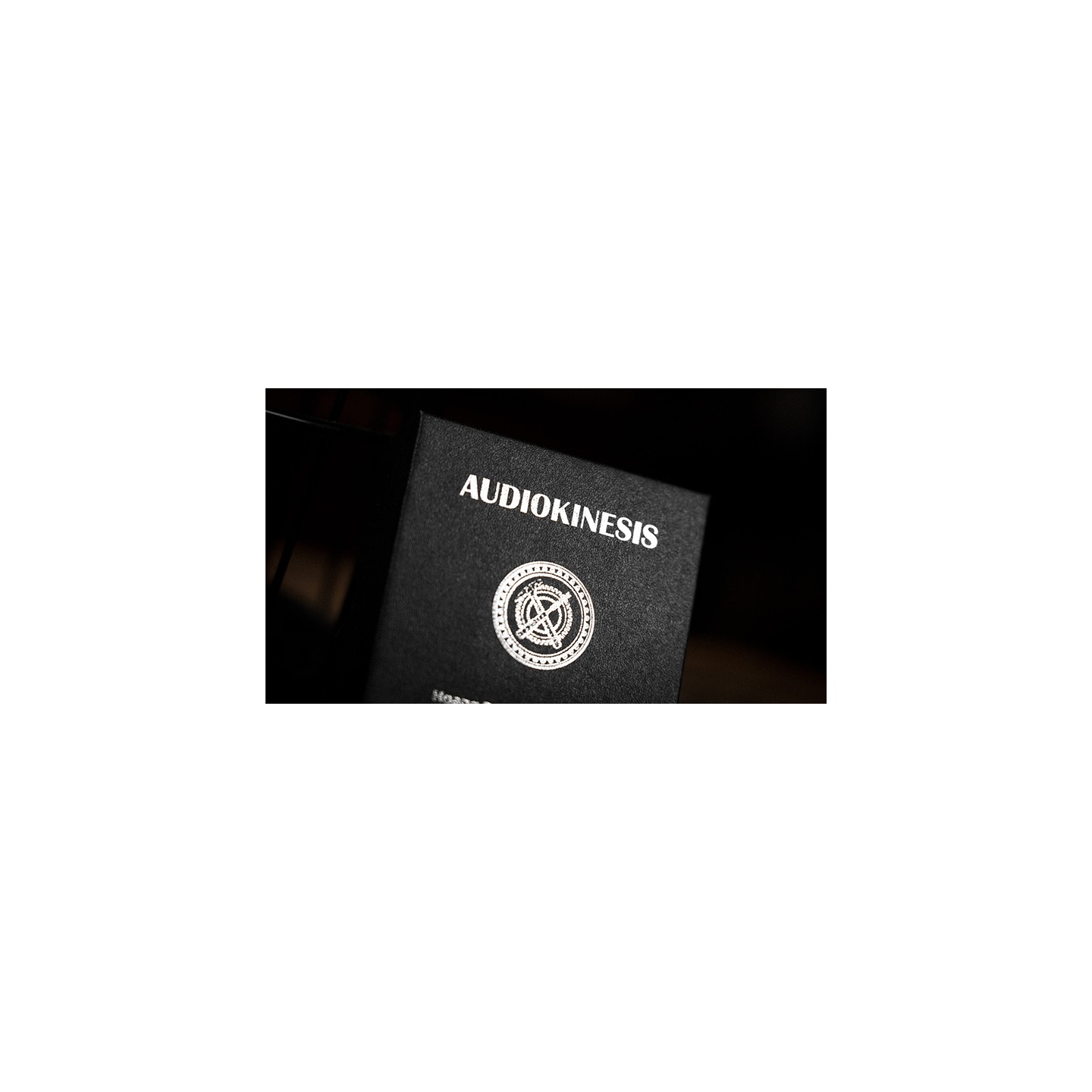Audiokinesis by Hoang Doan Minh & Artisan Coin (Dollar)