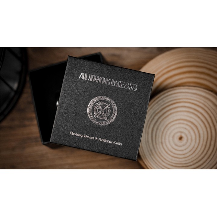 Audiokinesis by Hoang Doan Minh & Artisan Coin (Dollar)