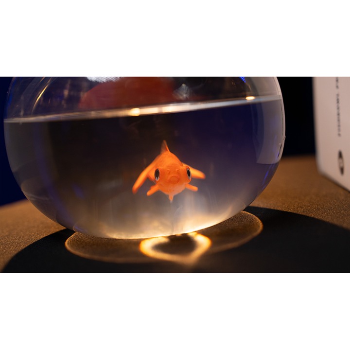 Fishbowl Production by Murphy's Magic