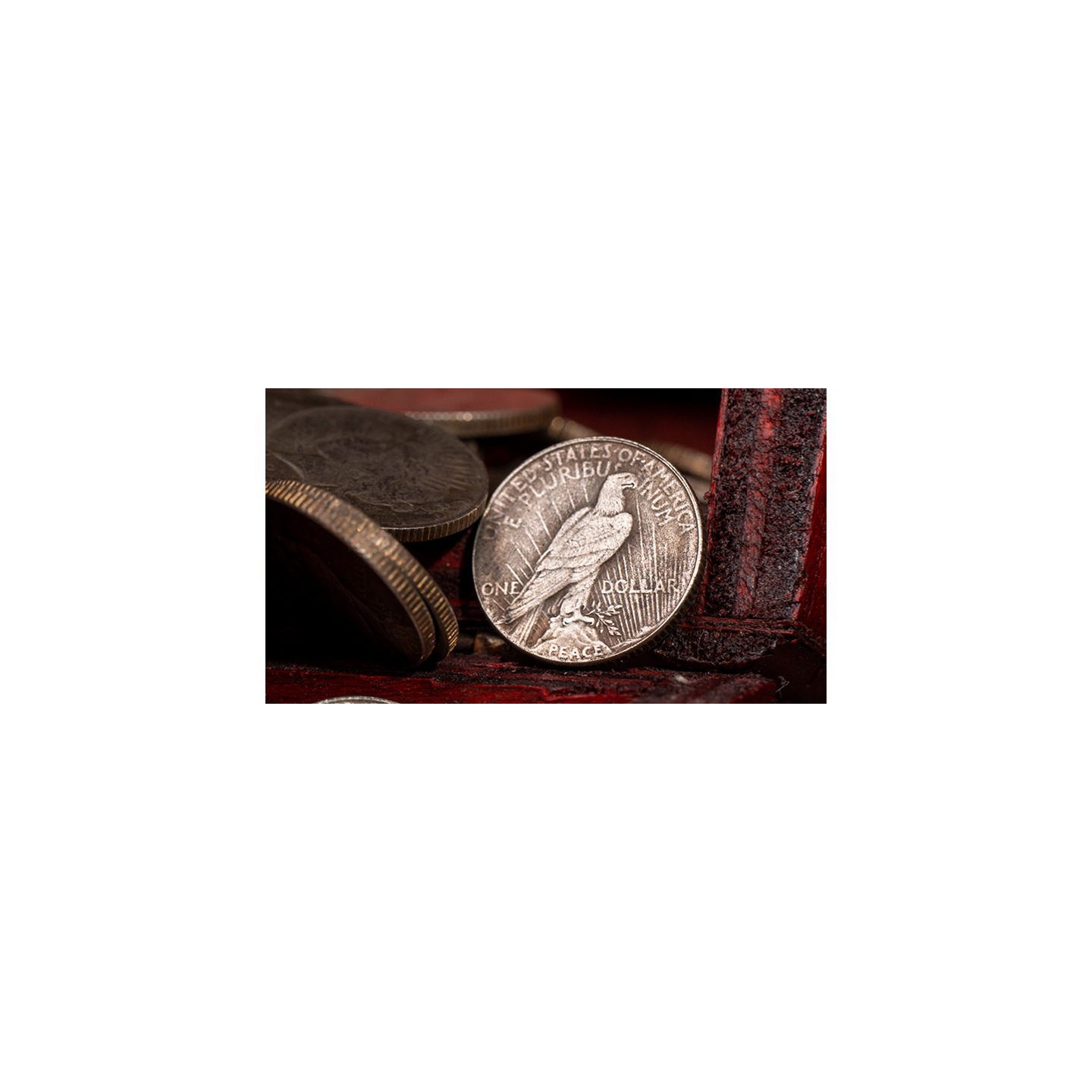 Mini Peace Dollar (Pack of 5 coins) by N2G