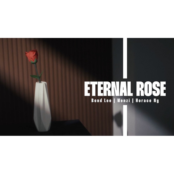 Eternal Rose by Bond Lee