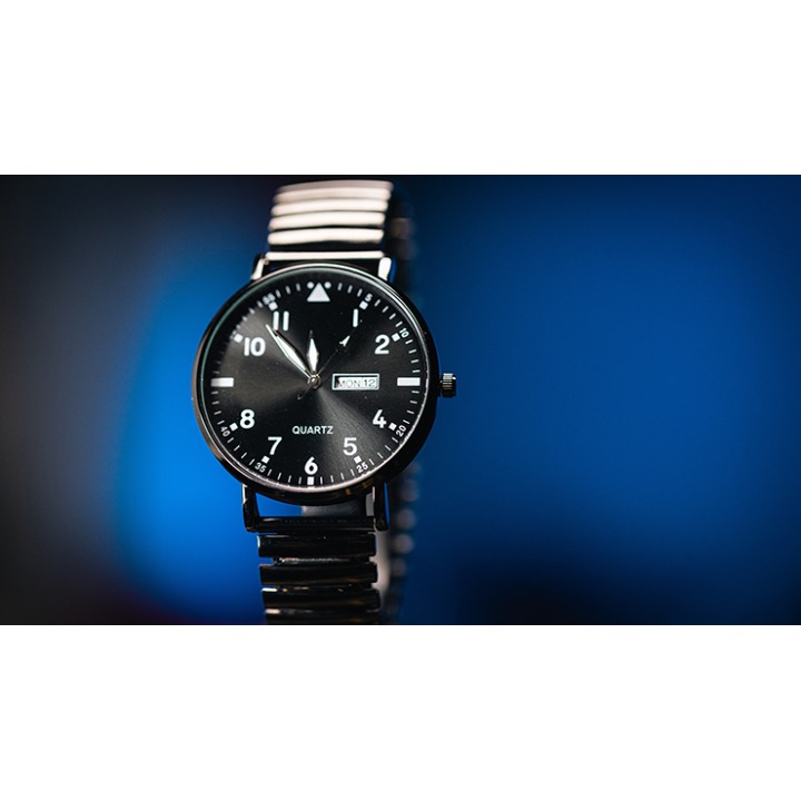 Standard R.W.W. Left Hand (Ben Seidman's Ring Watch Wonder)