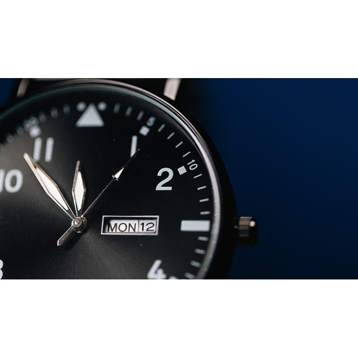 Standard R.W.W. Right Hand (Ben Seidman's Ring Watch Wonder)