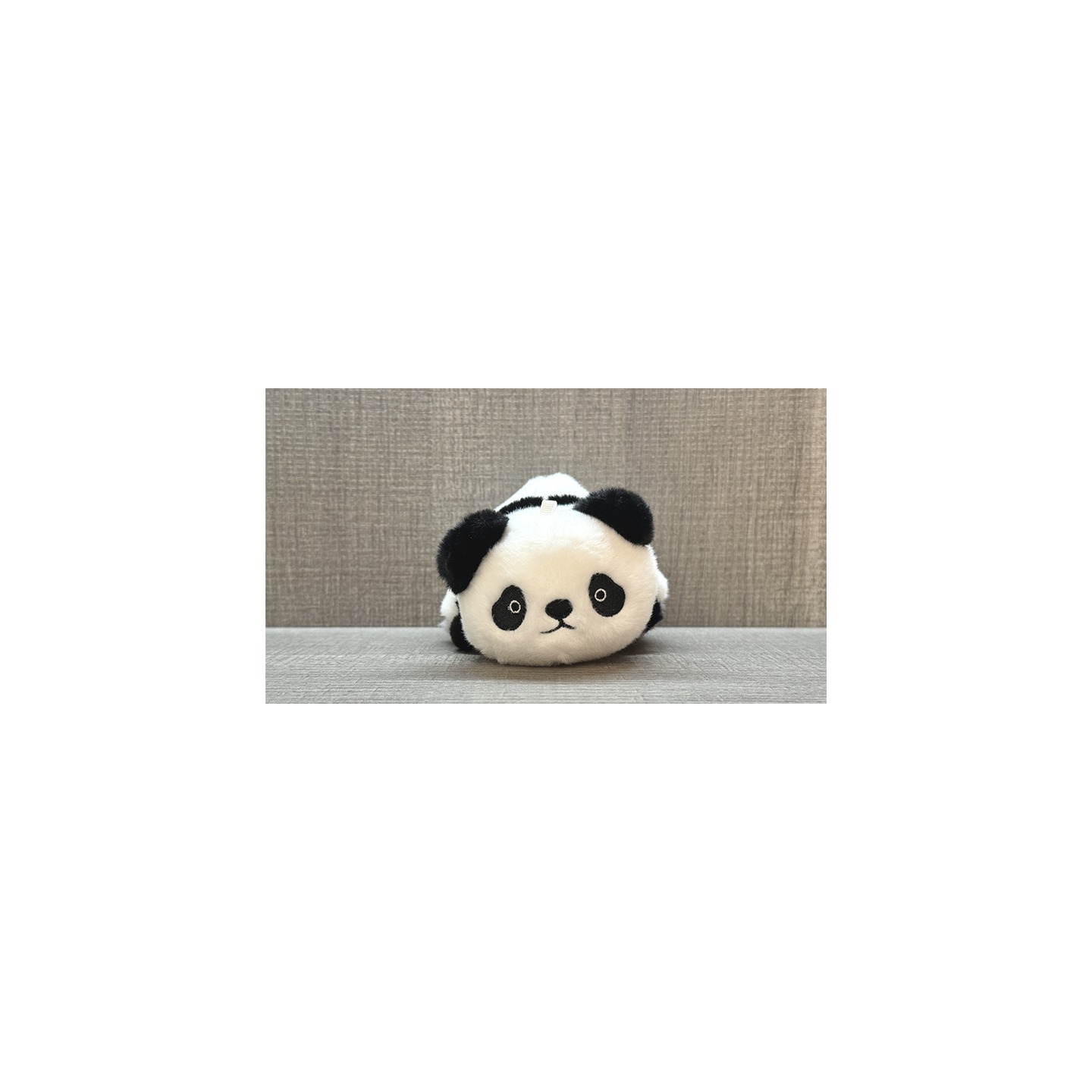 Morphing Plush (Panda to Raccoon) by Jackie Zhao and JT Magic