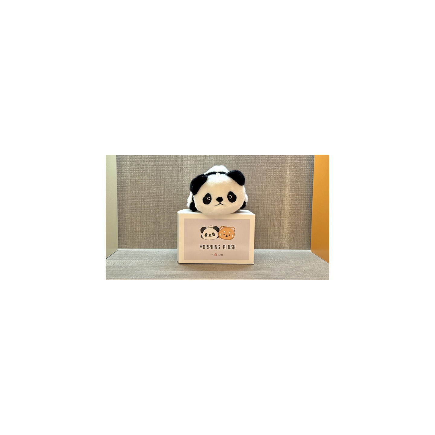 Morphing Plush (Panda to Raccoon) by Jackie Zhao and JT Magic