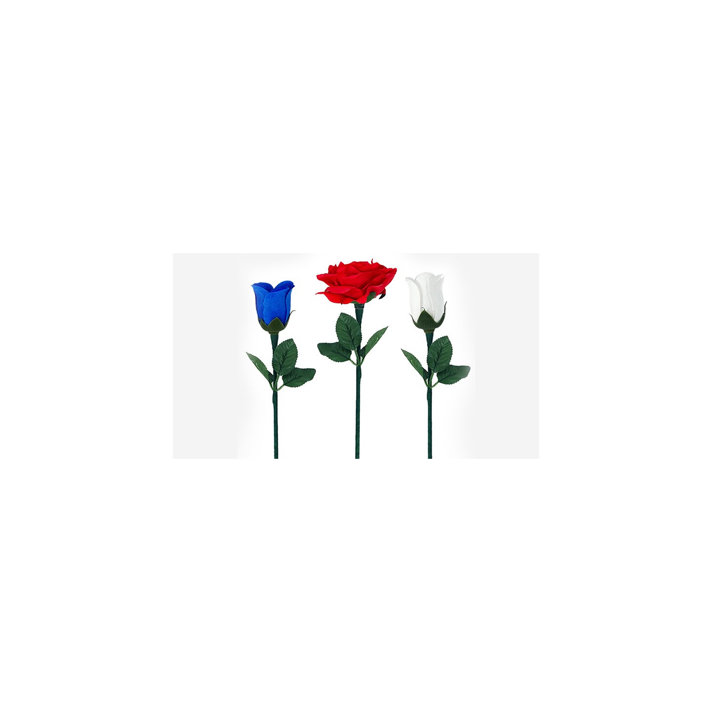 Reborn Rose by JL Magic