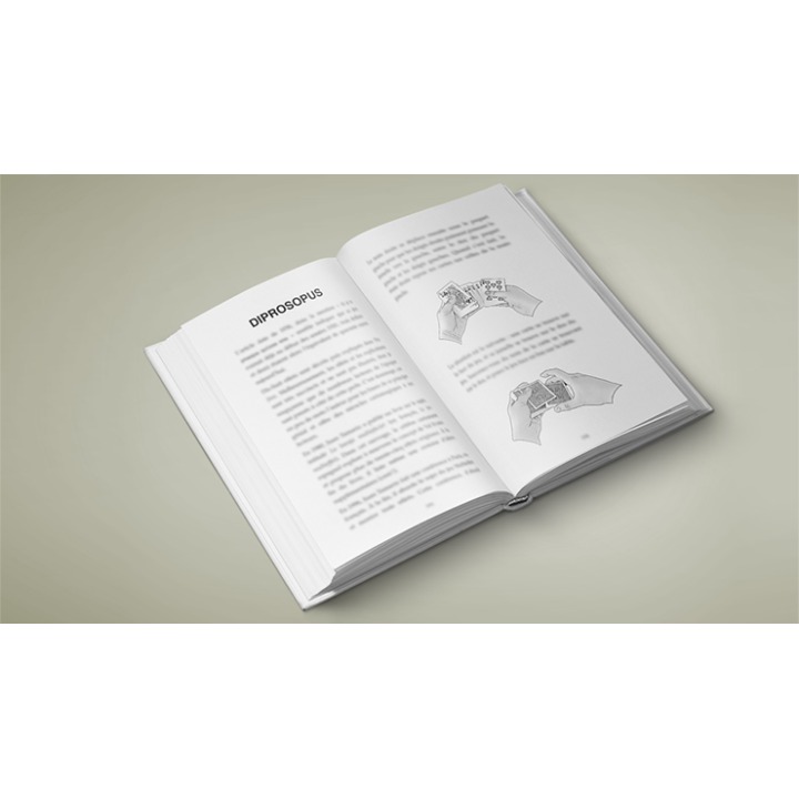 Multitude by Vincent Hedan - Book