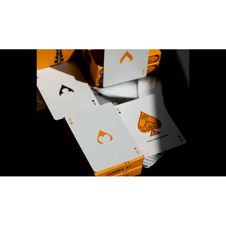 ACE FULTON'S CASINO V3 PLAYING CARDS