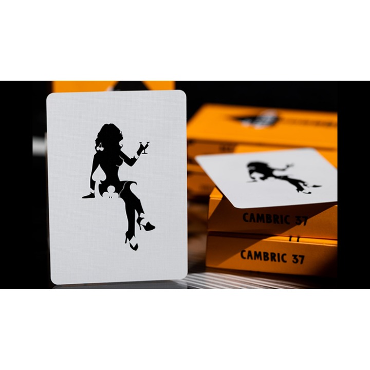 ACE FULTON'S CASINO V3 PLAYING CARDS