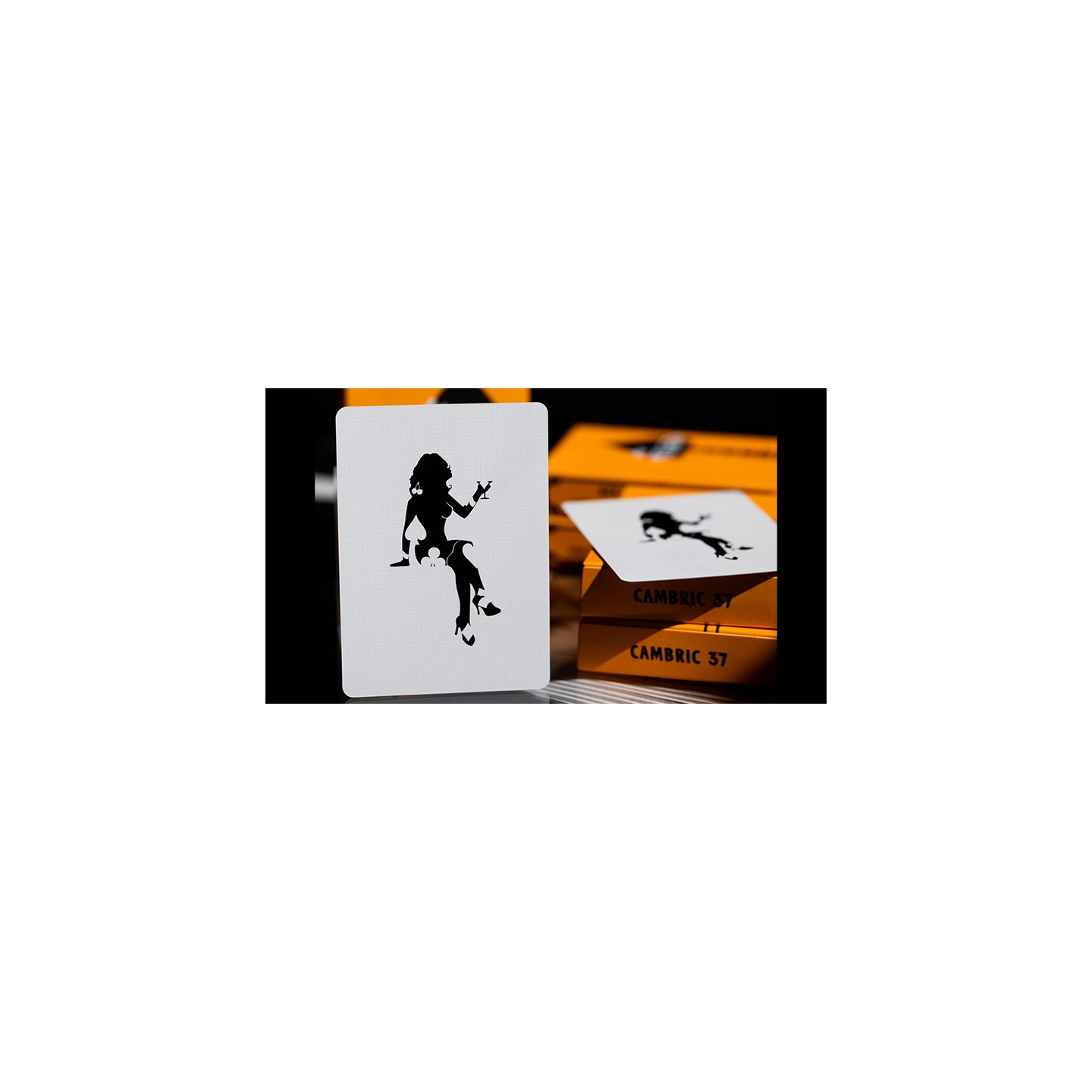ACE FULTON'S CASINO V3 PLAYING CARDS