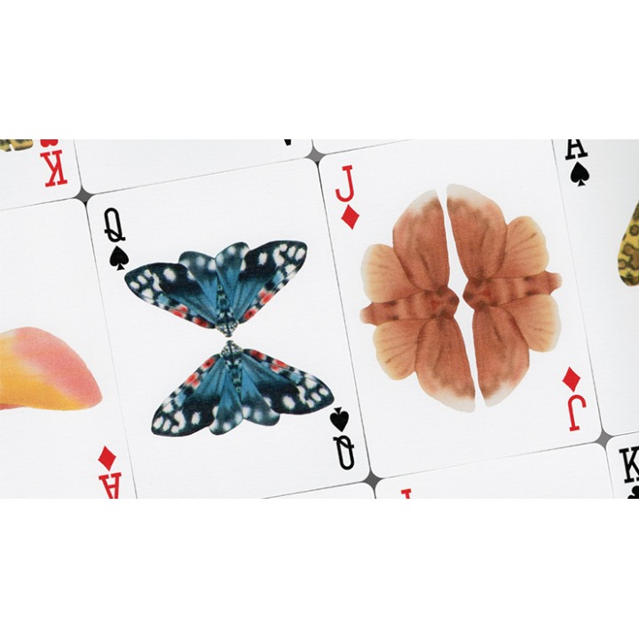 MOTHS (Stripe Edition) by Matthew Palladino