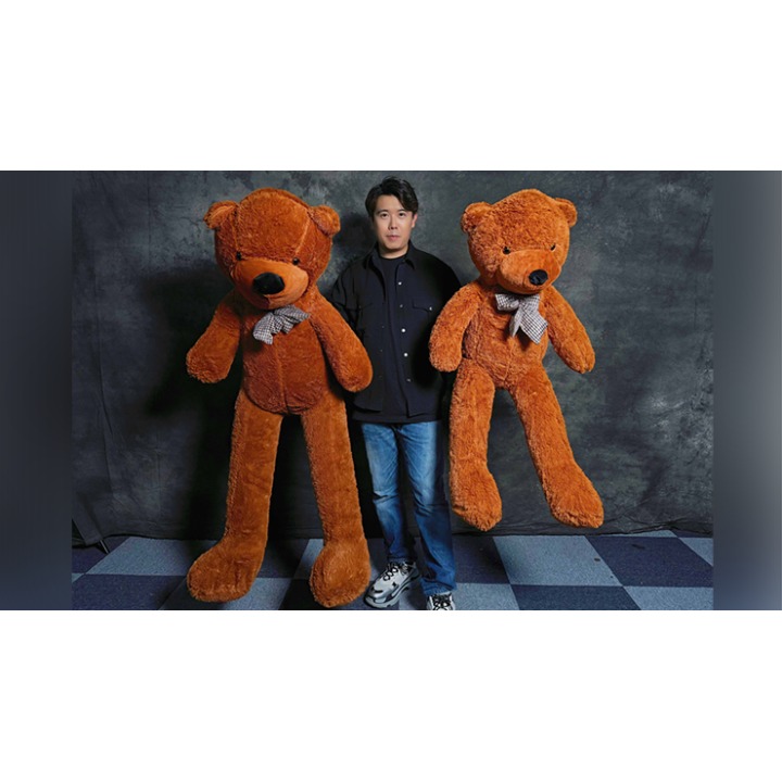 Teddy Bear Appearance (Medium) by MS Magic