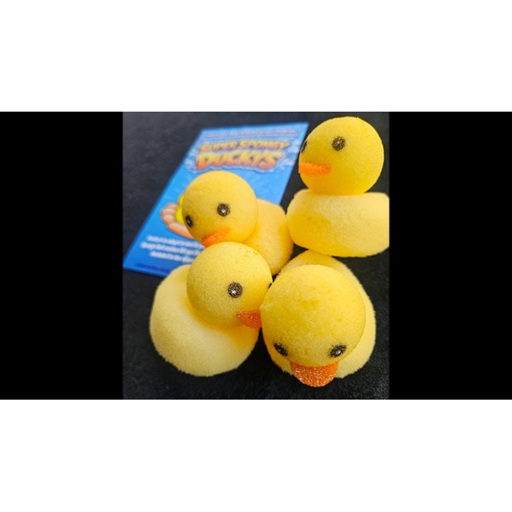 Super Spongy Duckies (4)