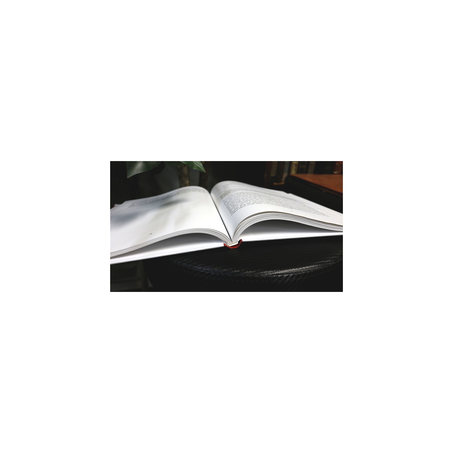 Who is Inaki Zabaletta? by Vernet Magic - Book