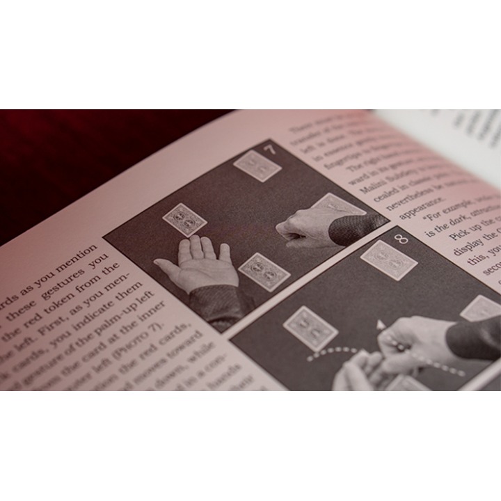 Giacomo Bertini's System for Amazement by Stephen Minch - Book
