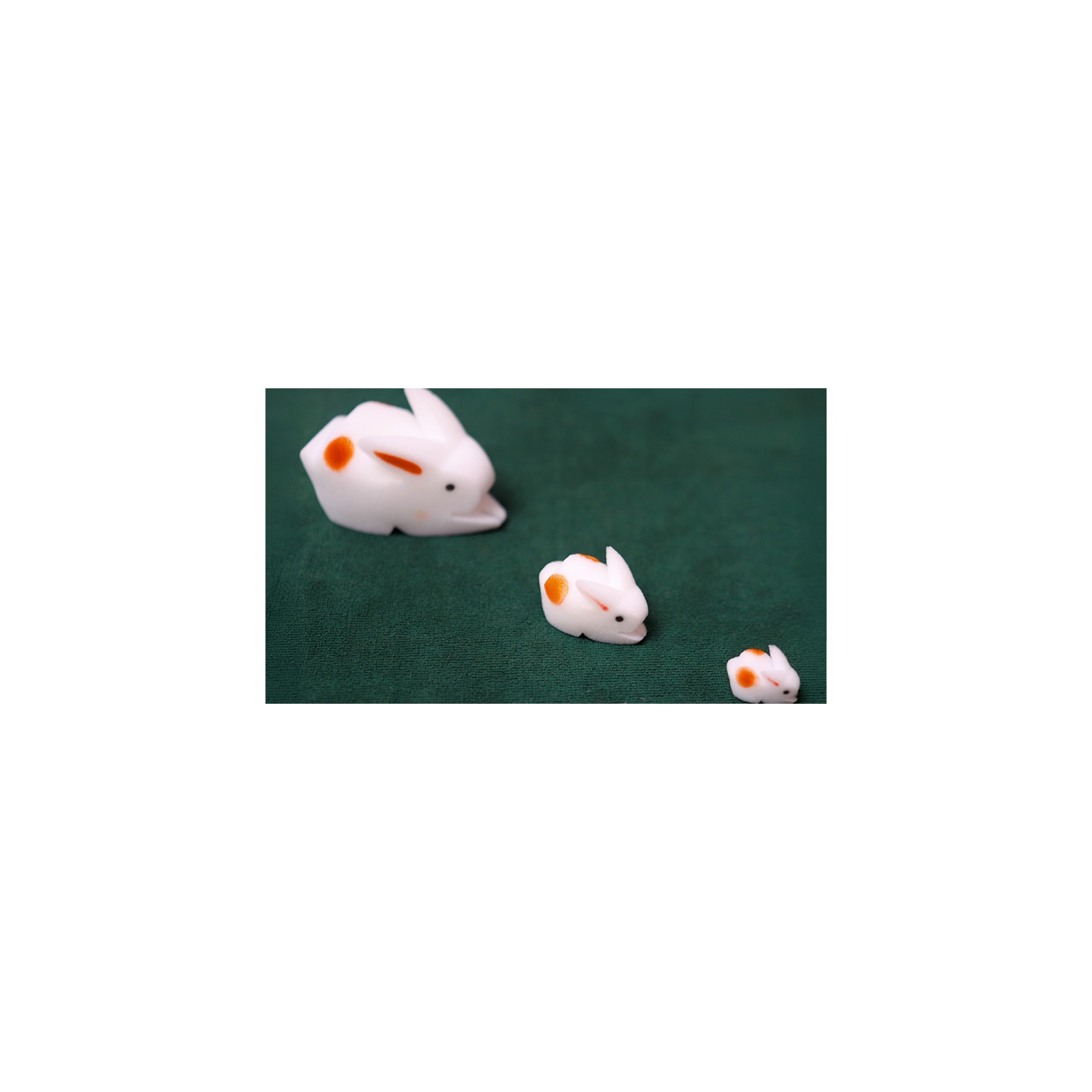 The Bunnies! 3D Rabbits (Parents, Kids & Grandpa)