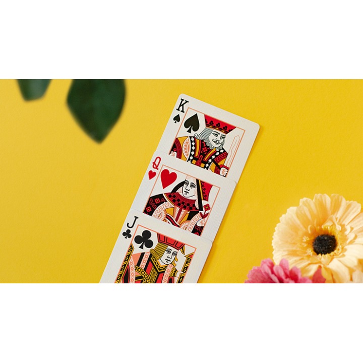 Butterfly Seasons Marked Playing Cards (Summer) by Ondrej Psenicka