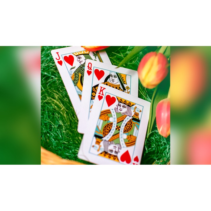 Butterfly Seasons Playing Cards Marked (Spring) by Ondrej Psenicka
