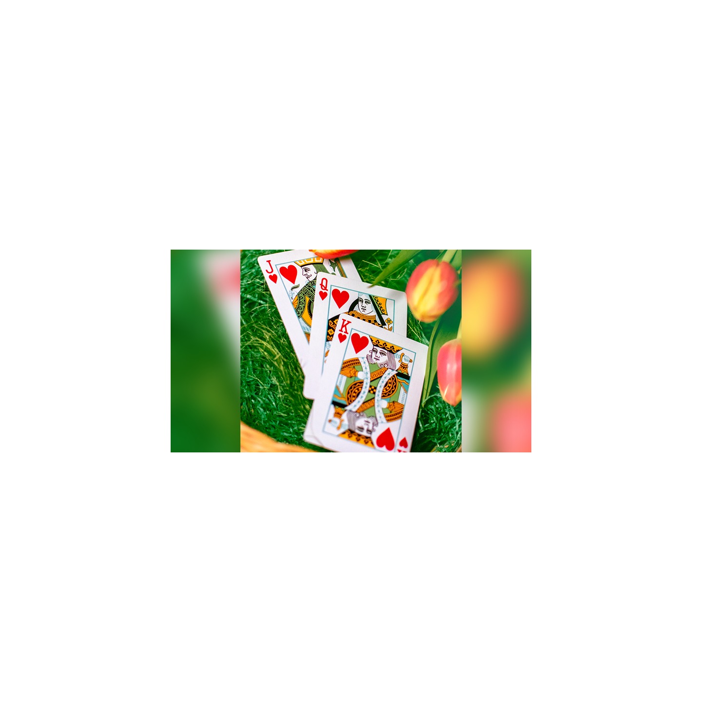 Butterfly Seasons Playing Cards Marked (Spring) by Ondrej Psenicka