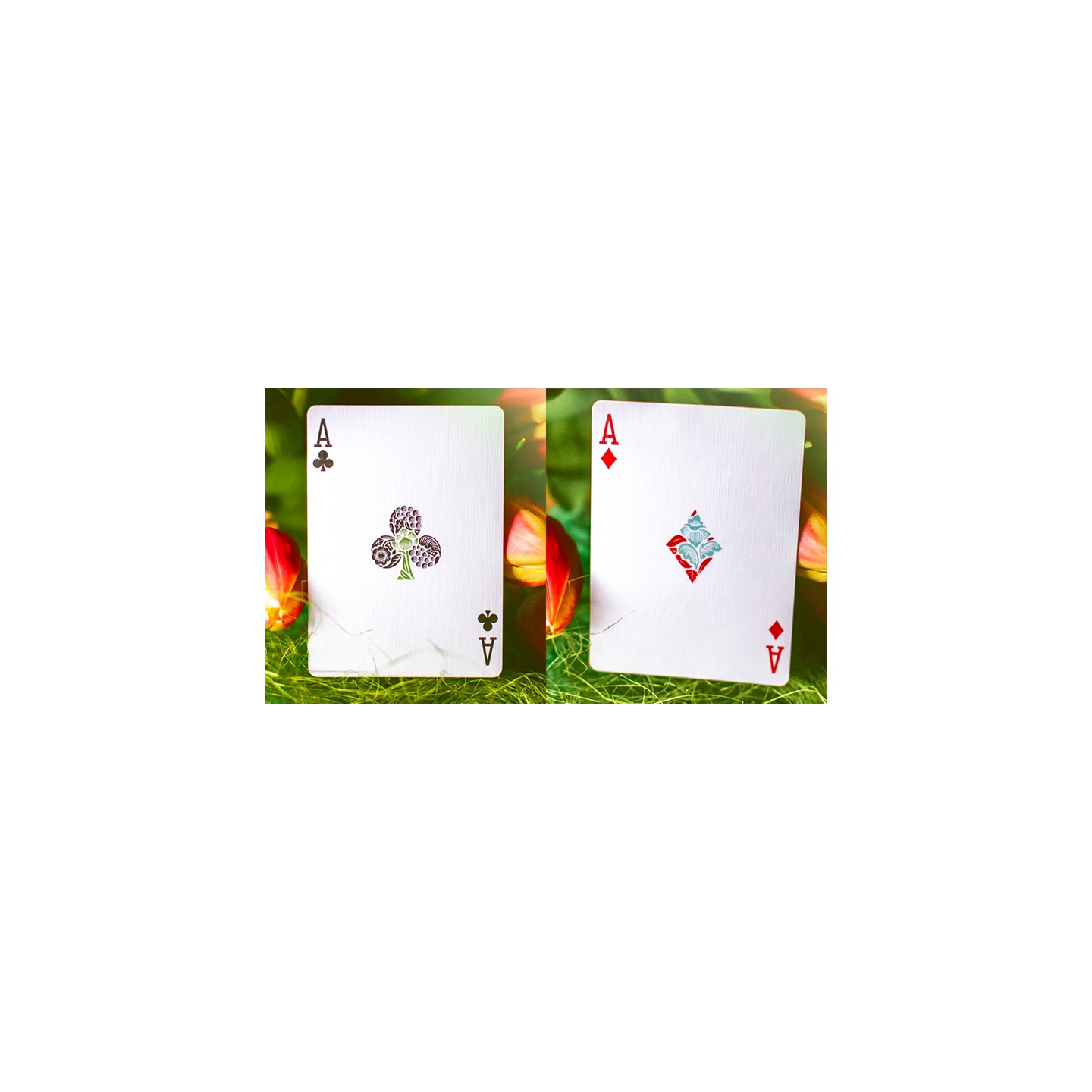 Butterfly Seasons Playing Cards Marked (Spring) by Ondrej Psenicka