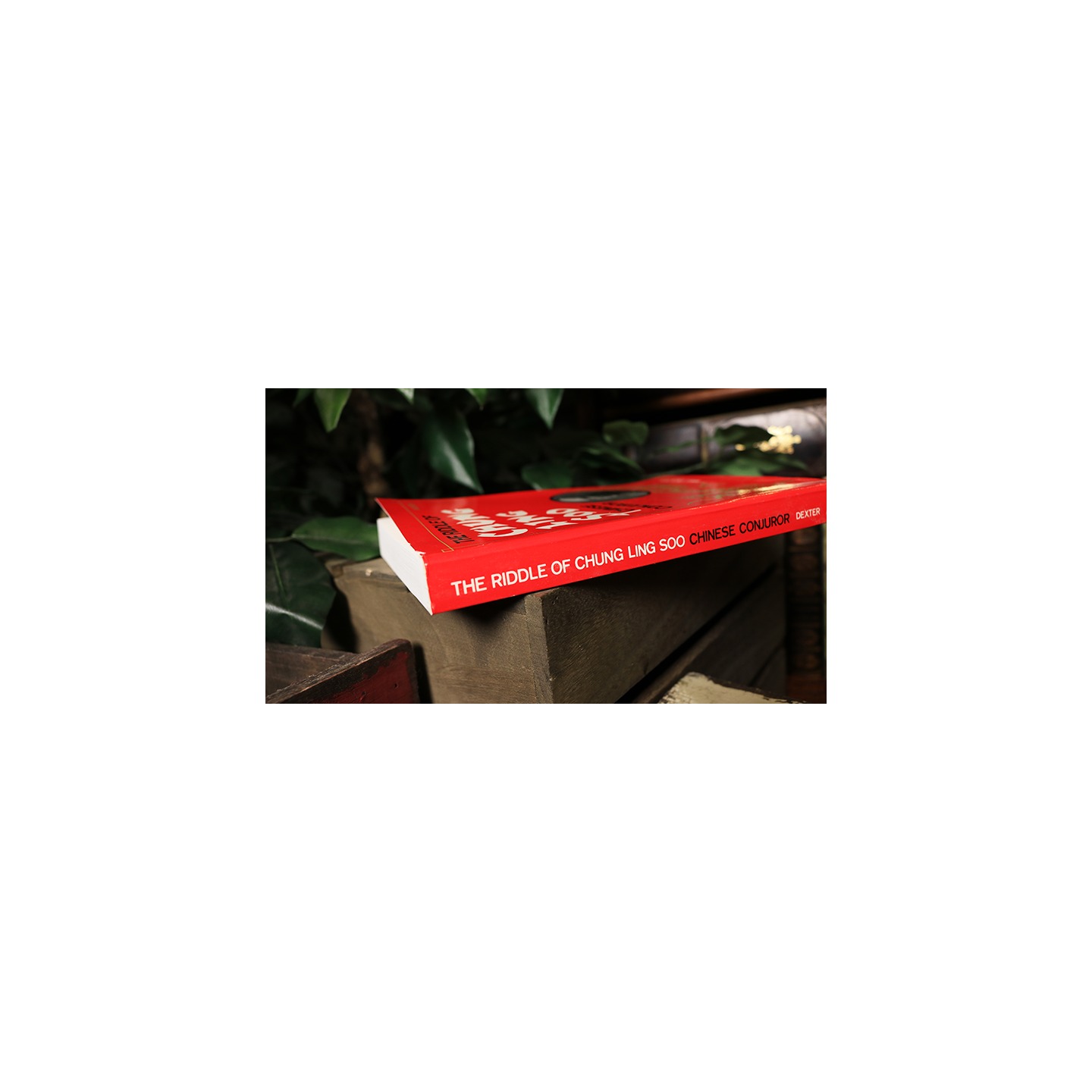 The Riddle of Chung Ling Soo by Will Dexter - Book